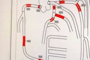 Cardiovascular Health with Fruits and Vegetables