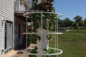 Learn more about Tower Garden