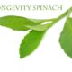 Longevity Spinach And Diabetes